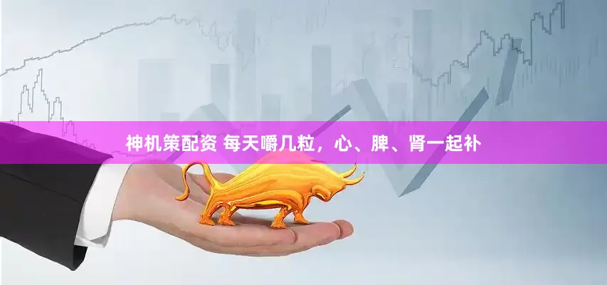 神机策配资 每天嚼几粒，心、脾、肾一起补