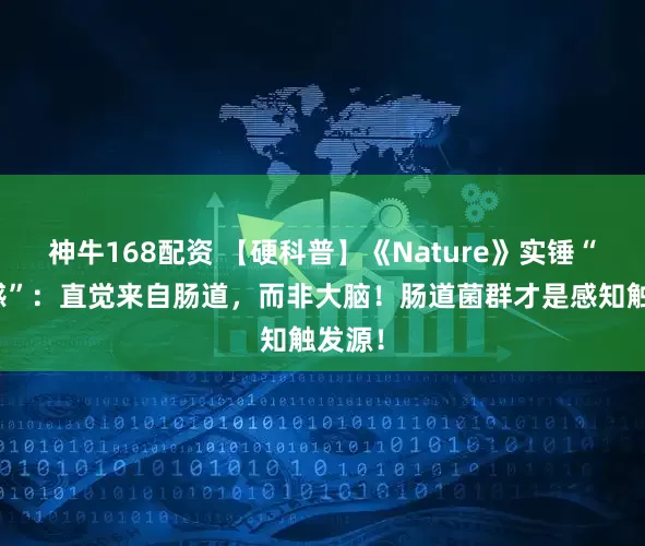 神牛168配资 【硬科普】《Nature》实锤“第六感”：直觉来自肠道，而非大脑！肠道菌群才是感知触发源！