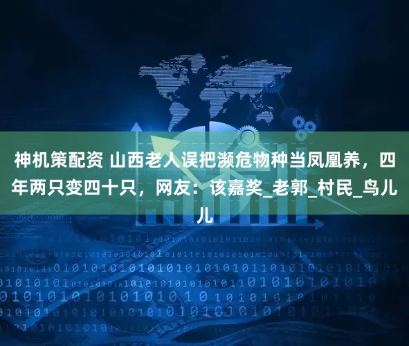 神机策配资 山西老人误把濒危物种当凤凰养，四年两只变四十只，网友：该嘉奖_老郭_村民_鸟儿