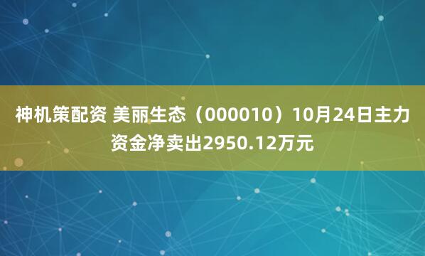 神机策配资 美丽生态（000010）10月24日主力资金净卖出2950.12万元