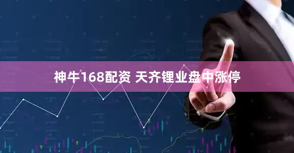 神牛168配资 天齐锂业盘中涨停
